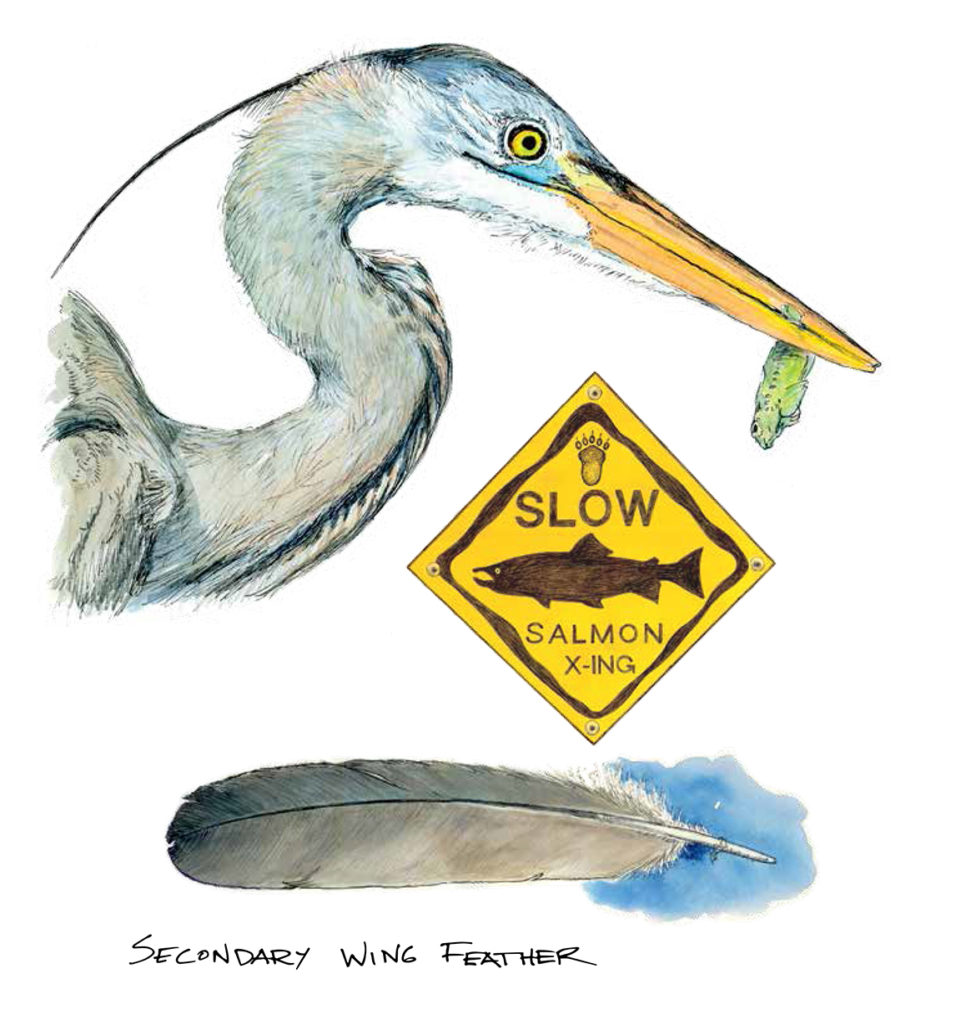 Alison's Fishing Birds illustrated by Sheryl McDougald